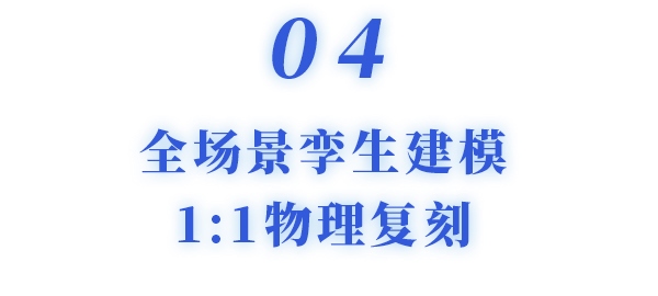 1767146276024.jpg 5.jpg
